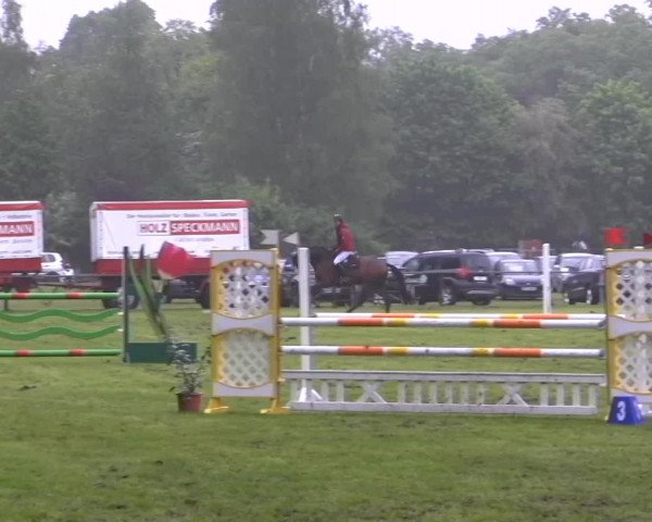 Halle-Tatenhausen Schloßturnier 2013