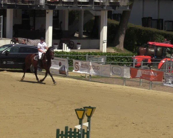 Reitturnier Castrop-Rauxel/Ober-Castrop 2024