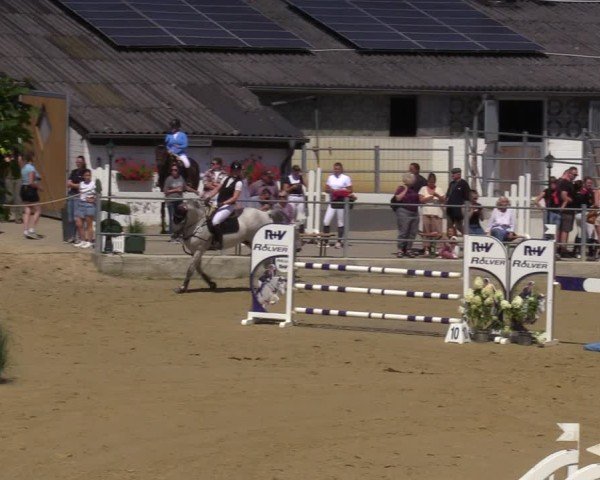 Reitturnier Castrop-Rauxel/Ober-Castrop 2024