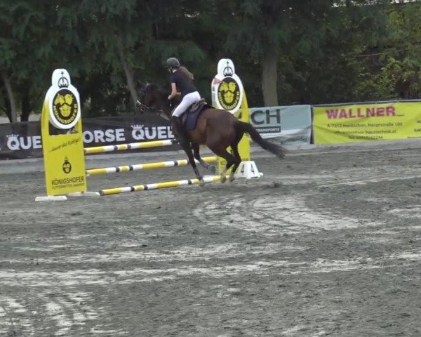 Reitturnier Horitschon 2024