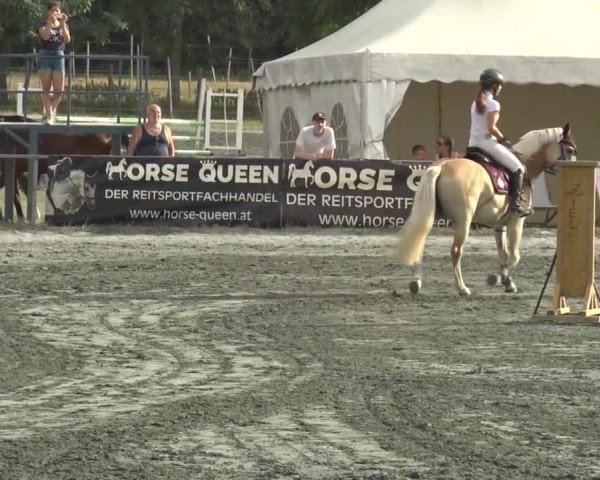 Reitturnier Horitschon 2024