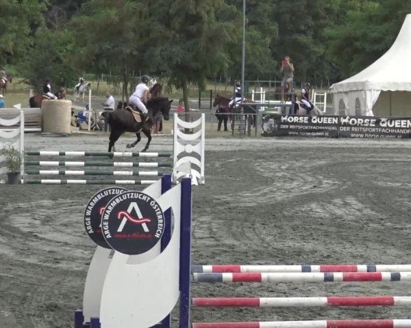 Reitturnier Horitschon 2024