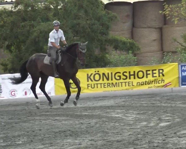 Reitturnier Horitschon 2024