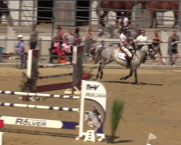Reitturnier Castrop-Rauxel/Ober-Castrop 2024