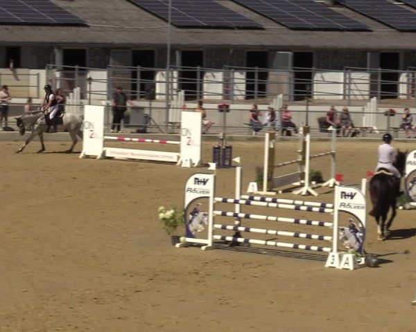Reitturnier Castrop-Rauxel/Ober-Castrop 2024