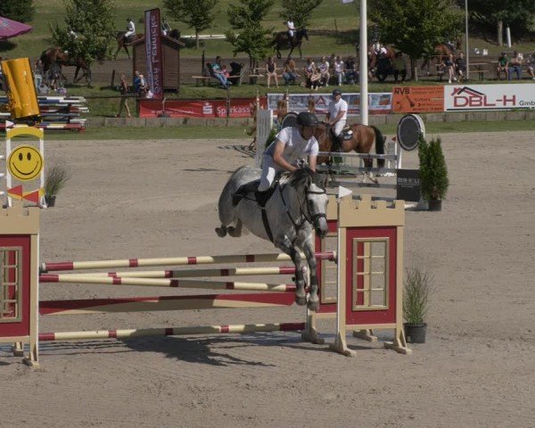 Reitturnier Halle - Seeben 2024