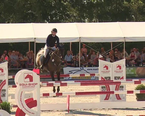 Reitturnier Grafenrheinfeld/Ufr. 2024
