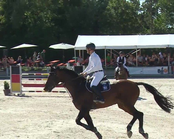 Reitturnier Grafenrheinfeld/Ufr. 2024