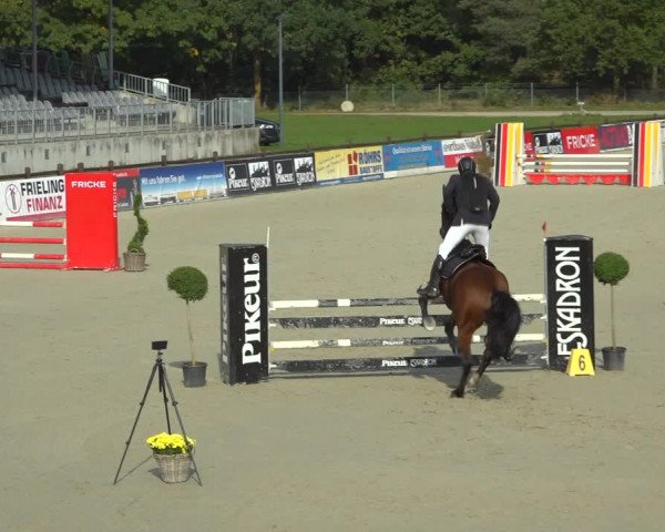 Reitturnier Westergellersen 2021