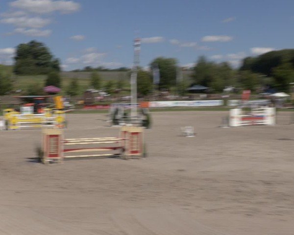 Reitturnier Halle - Seeben 2024