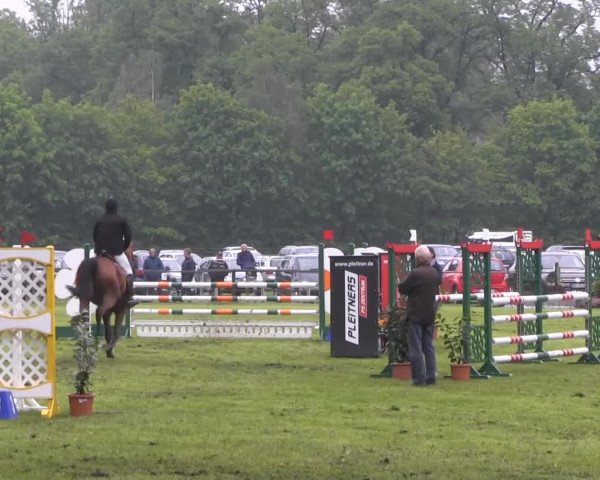 Halle-Tatenhausen Schloßturnier 2013