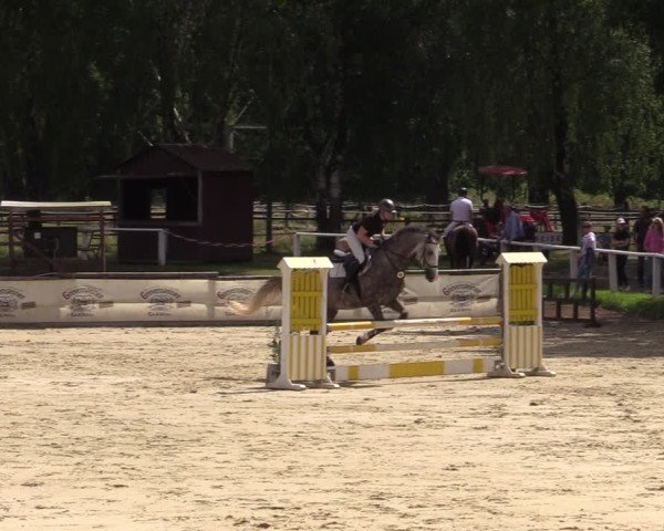 Reitturnier Vellinghausen 2024