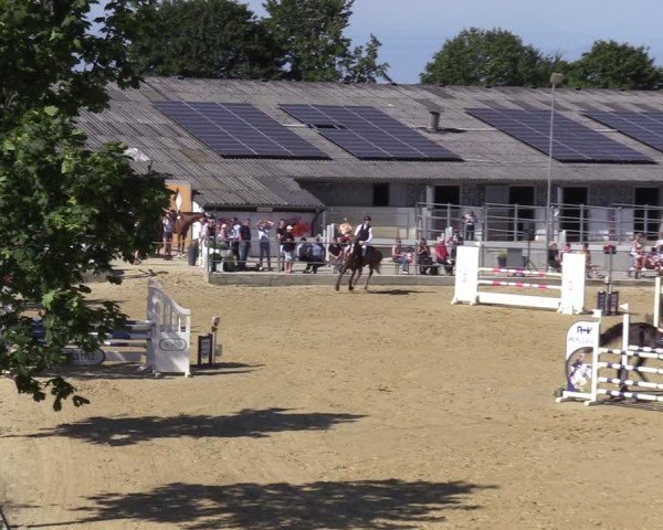 Reitturnier Castrop-Rauxel/Ober-Castrop 2024