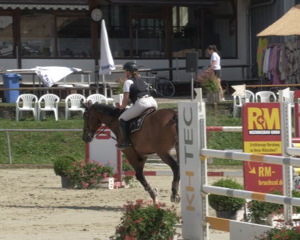 Reitturnier Oberderdingen 2024