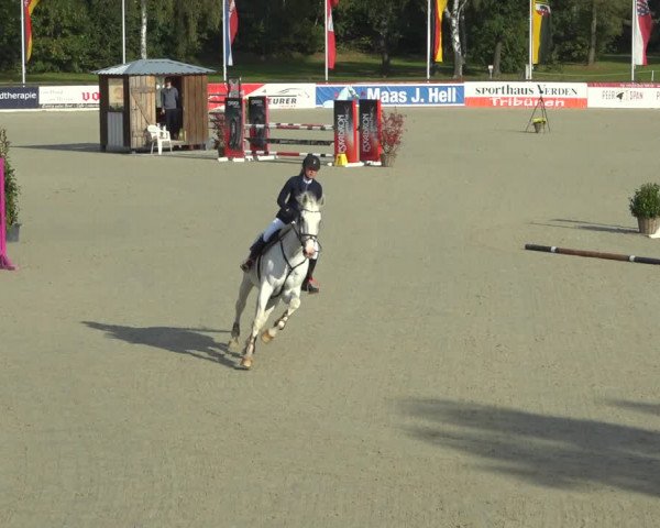 Reitturnier Westergellersen 2021