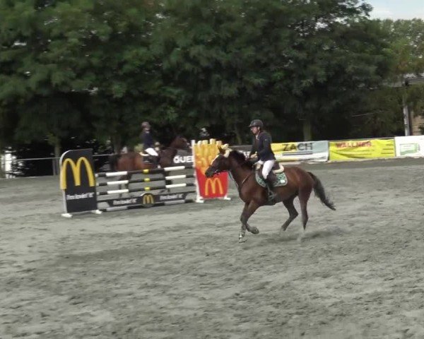Reitturnier Horitschon 2024