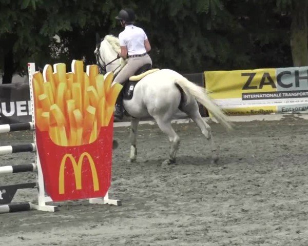 Reitturnier Horitschon 2024