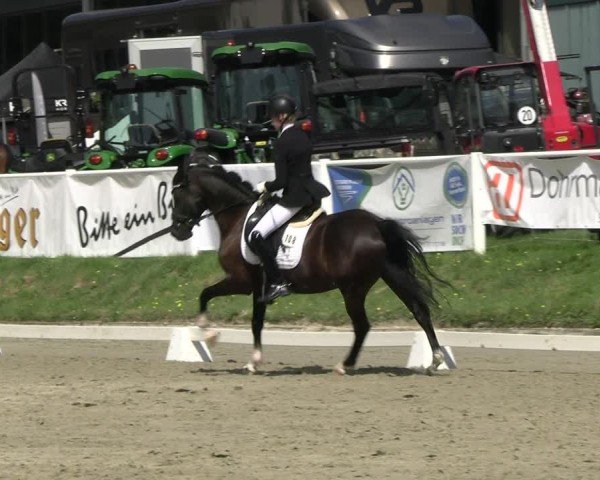 Reitturnier Bergisch Gladbach - Hebborner Hof 2024