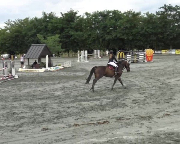 Reitturnier Horitschon 2024