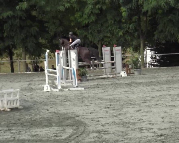 Reitturnier Horitschon 2024