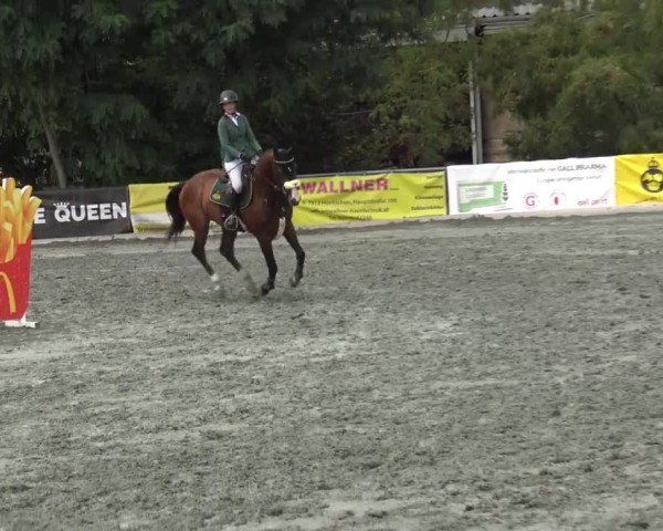 Reitturnier Horitschon 2024