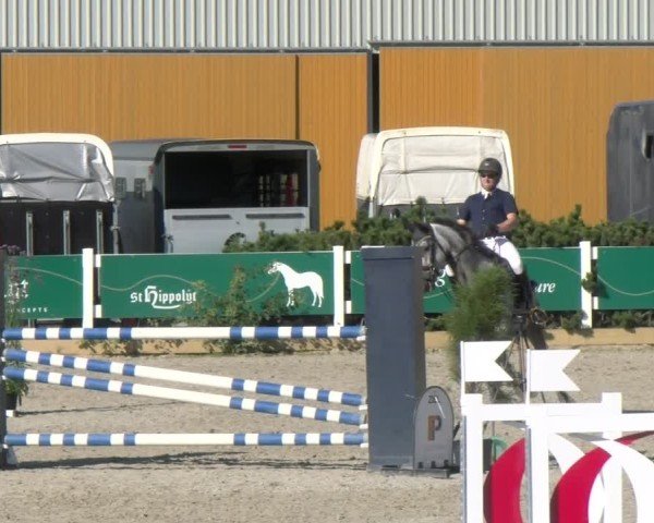 Reitturnier Sauldorf-Boll 2024