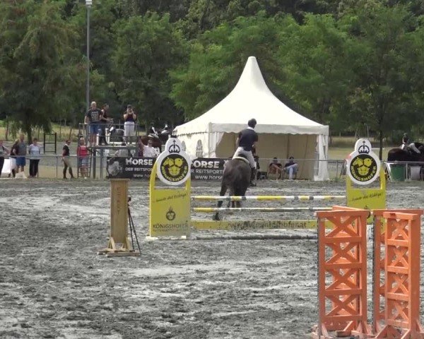 Reitturnier Horitschon 2024