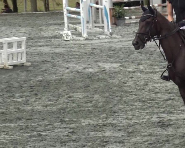 Reitturnier Horitschon 2024