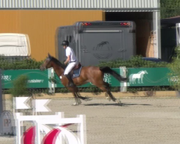 Reitturnier Sauldorf-Boll 2024
