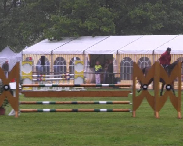 Halle-Tatenhausen Schloßturnier 2013
