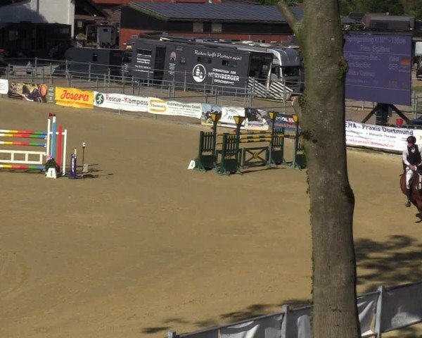 Reitturnier Castrop-Rauxel/Ober-Castrop 2024