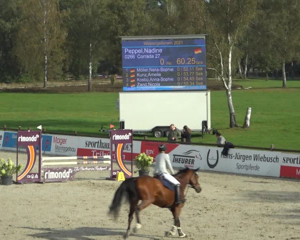 Reitturnier Westergellersen 2021