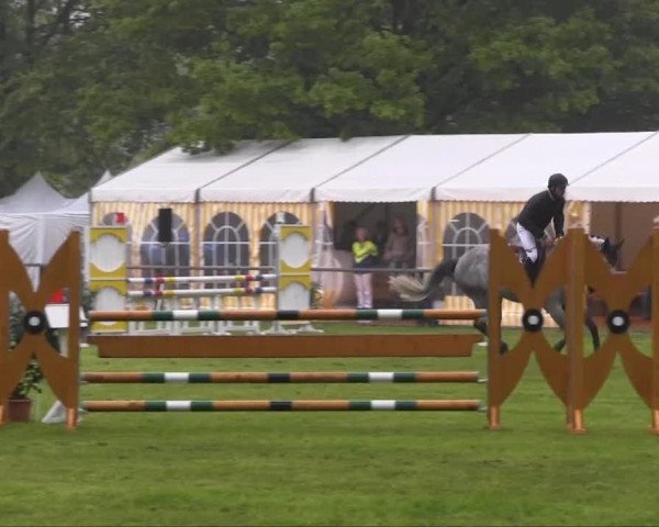 Halle-Tatenhausen Schloßturnier 2013