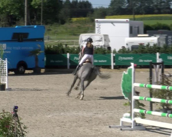 Reitturnier Sauldorf-Boll 2024