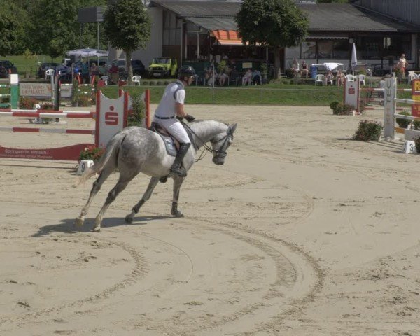 Reitturnier Oberderdingen 2024