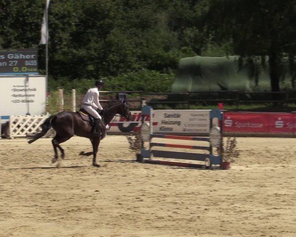 Reitturnier Vellinghausen 2024