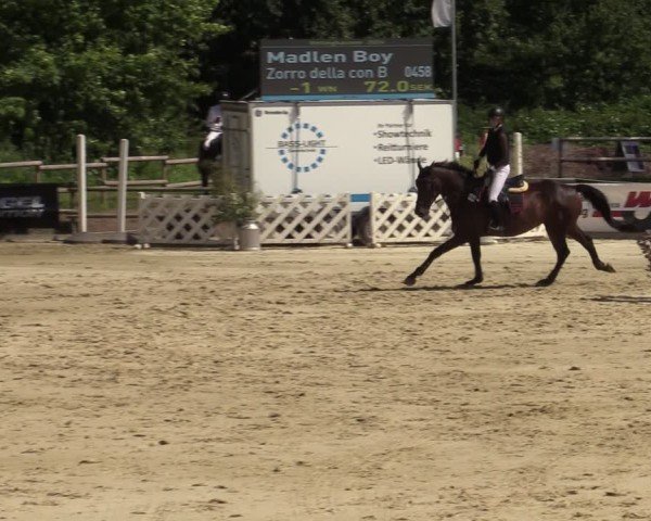 Reitturnier Vellinghausen 2024