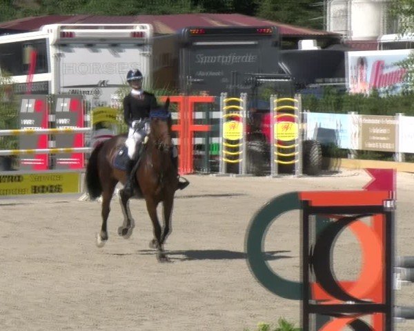 Reitturnier Sauldorf-Boll 2024