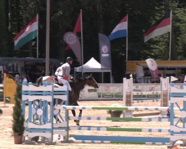 Reitturnier Ranshofen - Braunau am Inn 2024