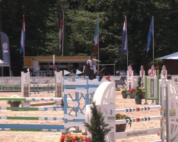 Reitturnier Ranshofen - Braunau am Inn 2024