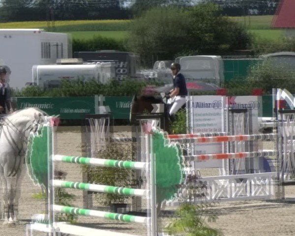 Reitturnier Sauldorf-Boll 2024