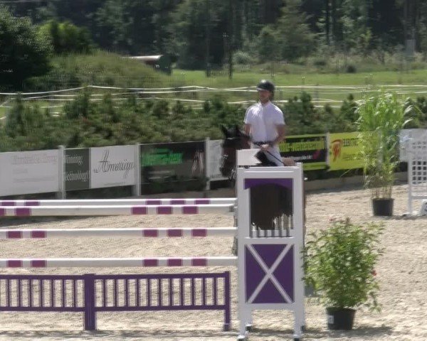 Reitturnier Sauldorf-Boll 2024