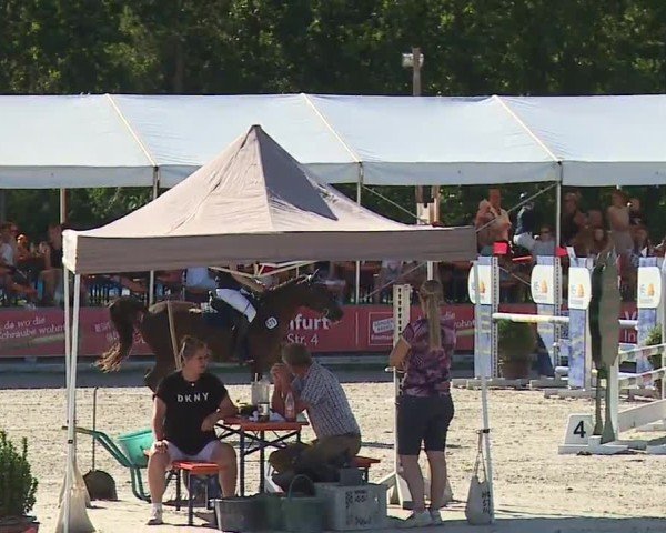 Reitturnier Grafenrheinfeld/Ufr. 2024