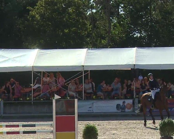 Reitturnier Grafenrheinfeld/Ufr. 2024