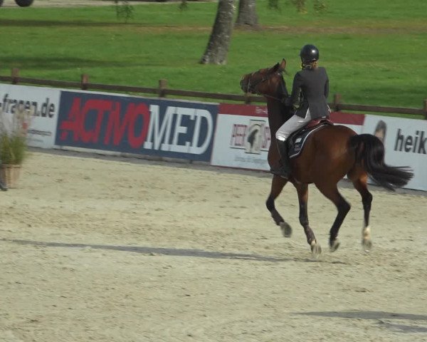 Reitturnier Westergellersen 2021