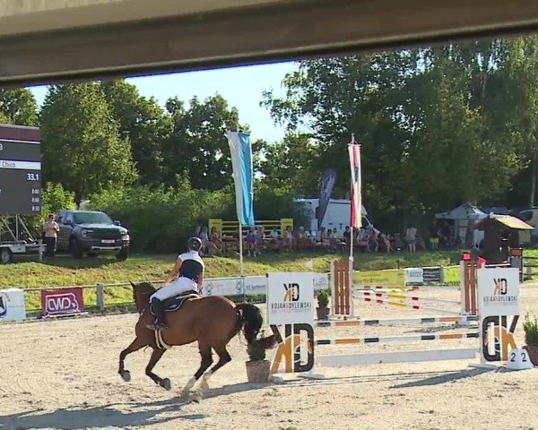 Reitturnier Grafenrheinfeld/Ufr. 2024