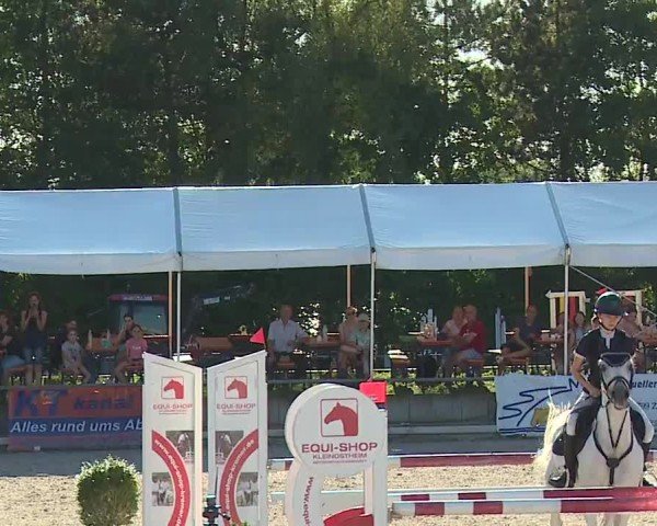 Reitturnier Grafenrheinfeld/Ufr. 2024