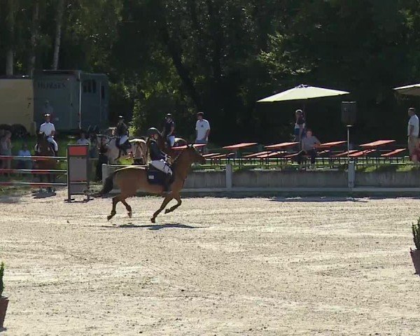 Reitturnier Grafenrheinfeld/Ufr. 2024