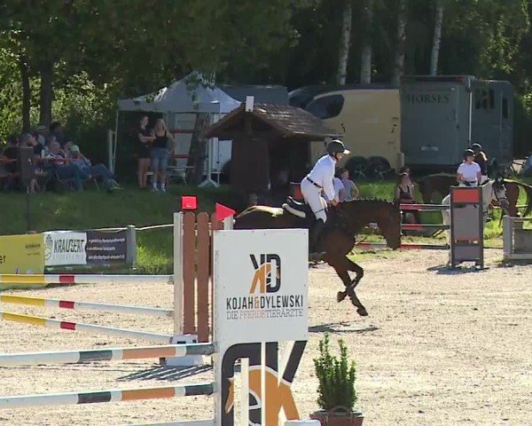 Reitturnier Grafenrheinfeld/Ufr. 2024