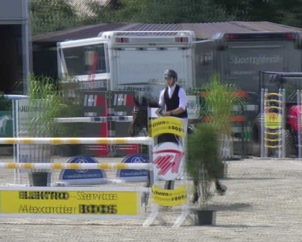Reitturnier Sauldorf-Boll 2024